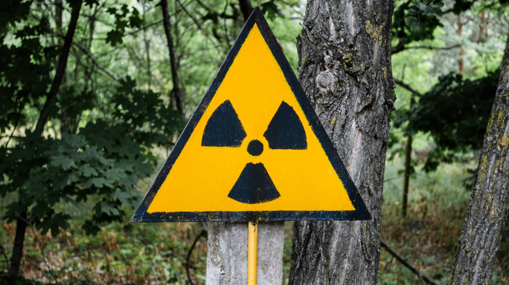    Как Черный грибок Чернобыля пожирает радиацию и покоряет мир