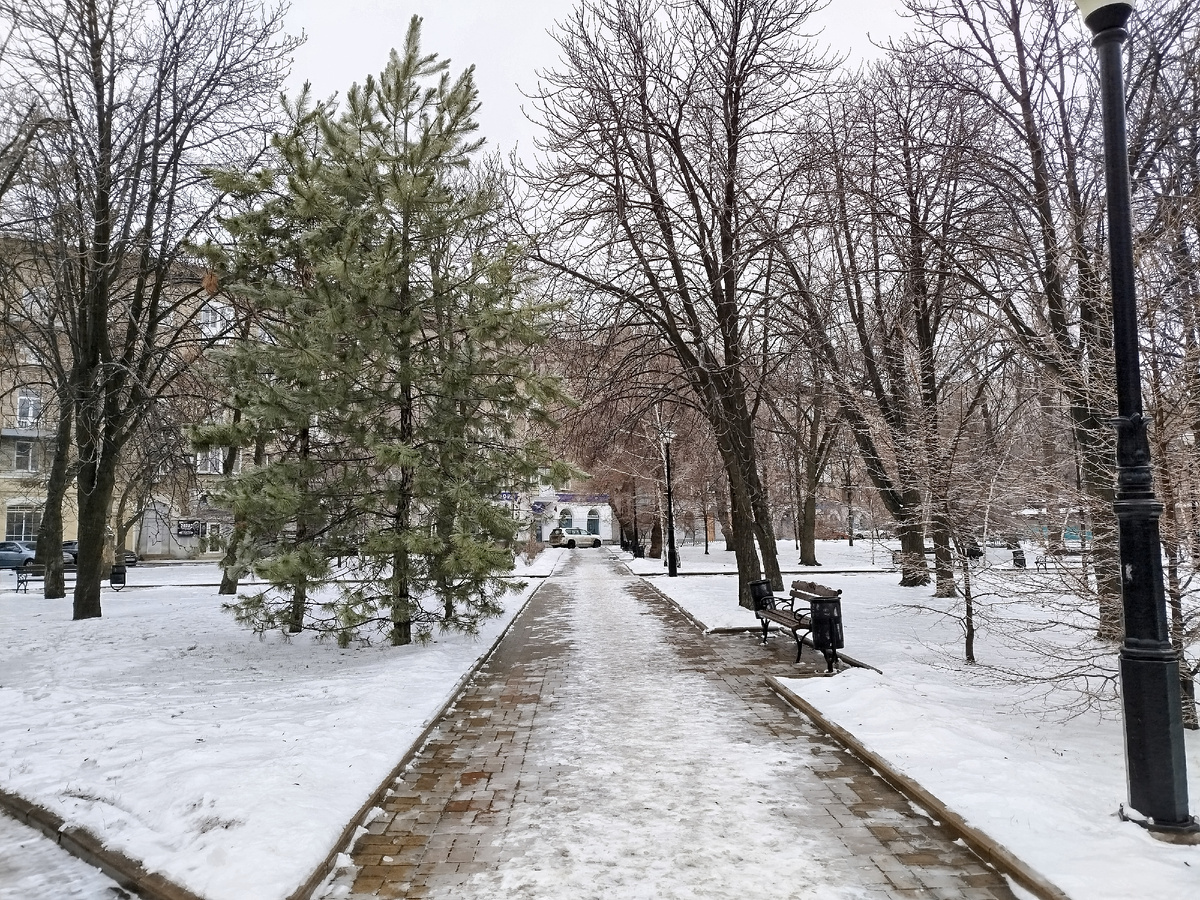 Аллея возле памятника генерал - лейтенанту К.А. Гурову (1901 - 1943). Раньше в этом скверике собирались уличные музыканты, автостопщики и прочая неформальная молодёжь.