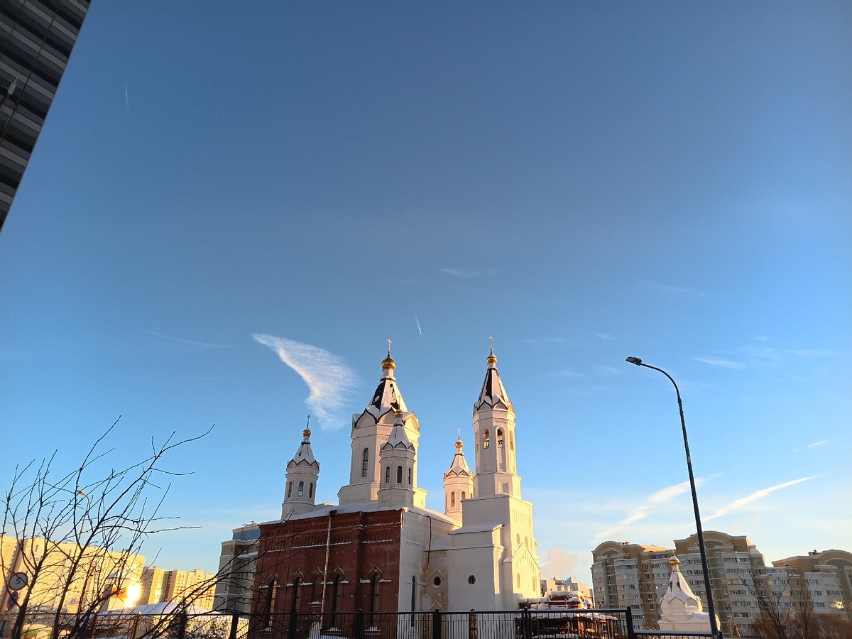 Александро-Невская церковь в Новокуркино