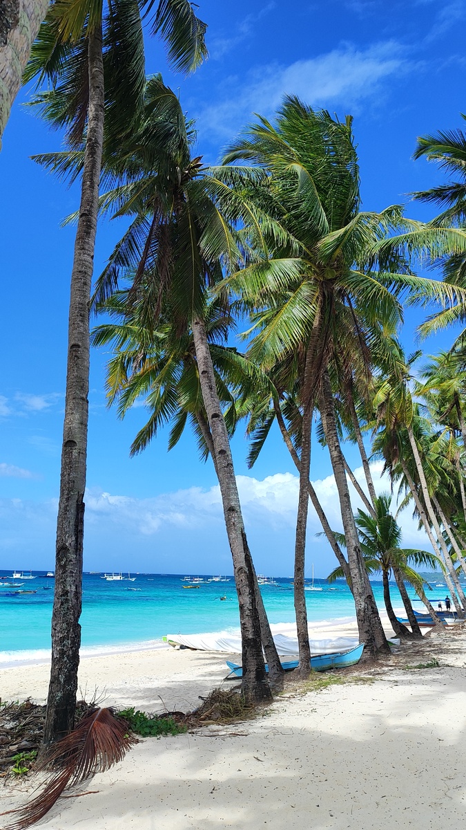 3 Станция, пальмы у кромки воды на Боракае