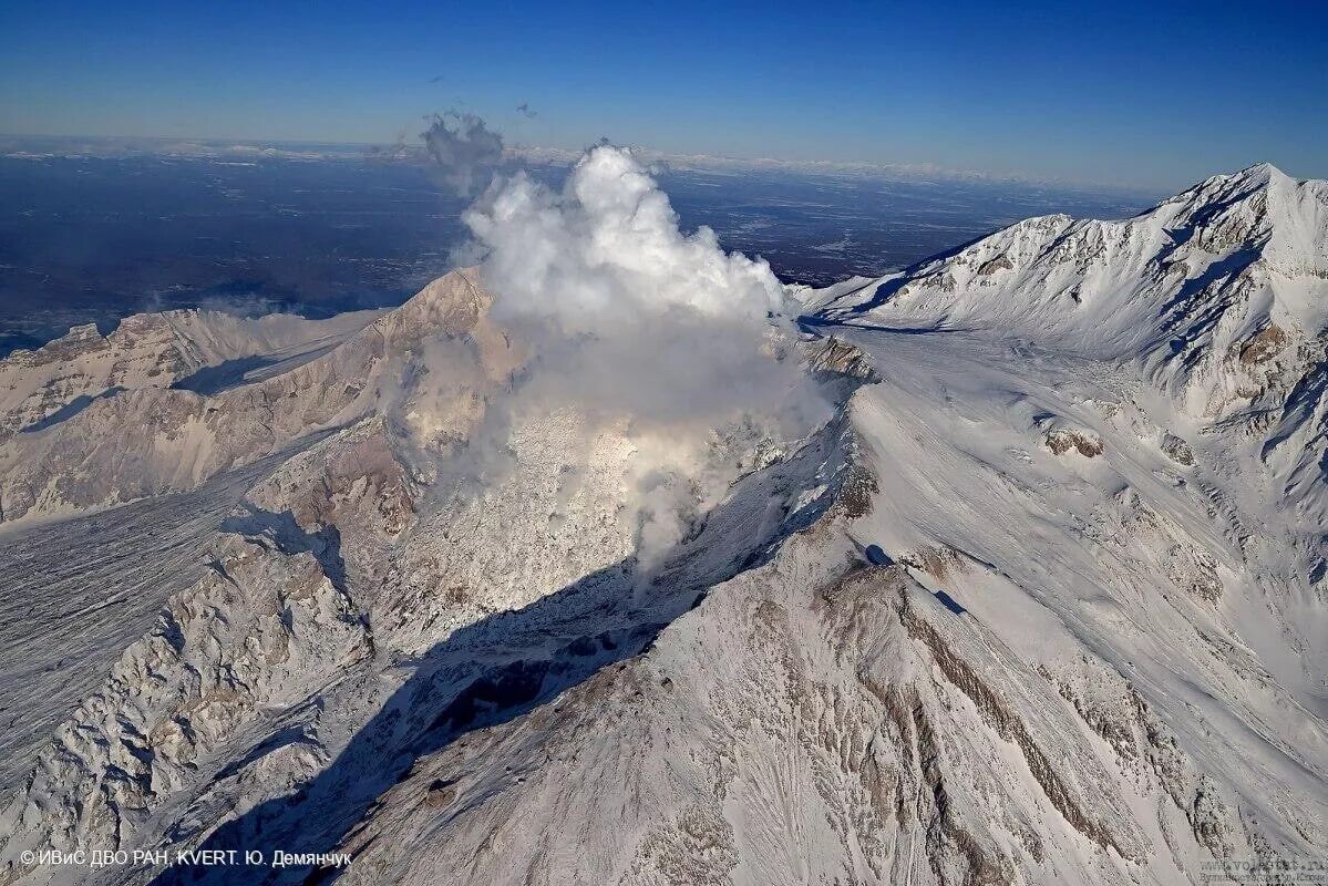     / Источник: © ИВиС ДВО РАН/Ю. Демянчук