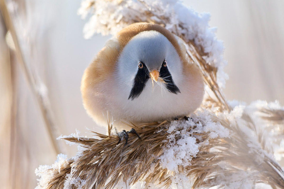 Фото: Станислав Крутоверцев