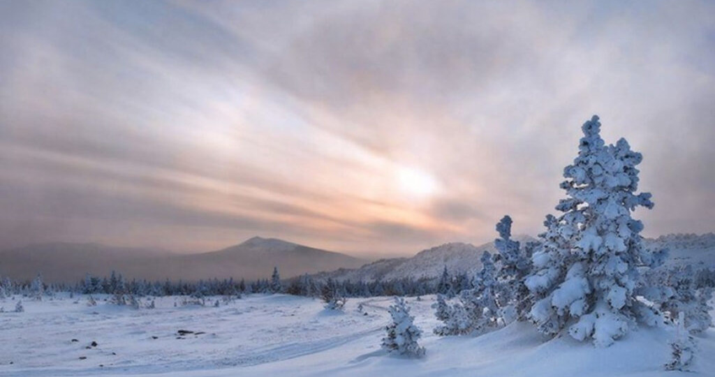 Гороскоп на неделю с 9 по 15 февраля