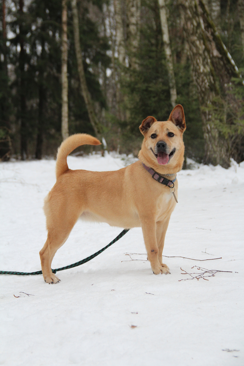 А у меня каждый день теперь - особый дома:)