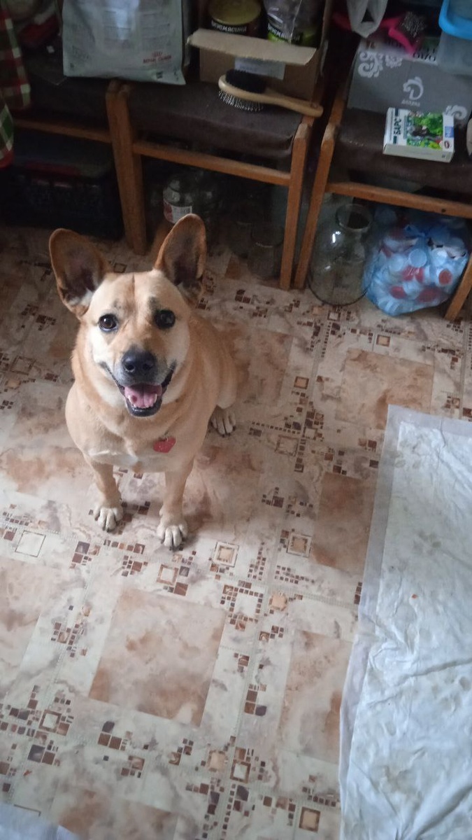 Как это без шампанского? А, ну если консервы, тогда празднуем:)