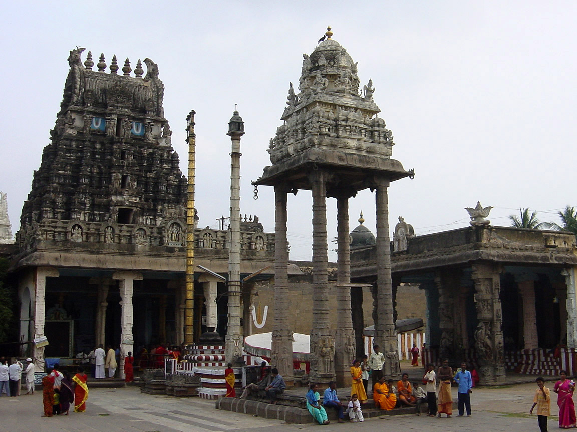 (источник: aquarium.lipetsk.ru)