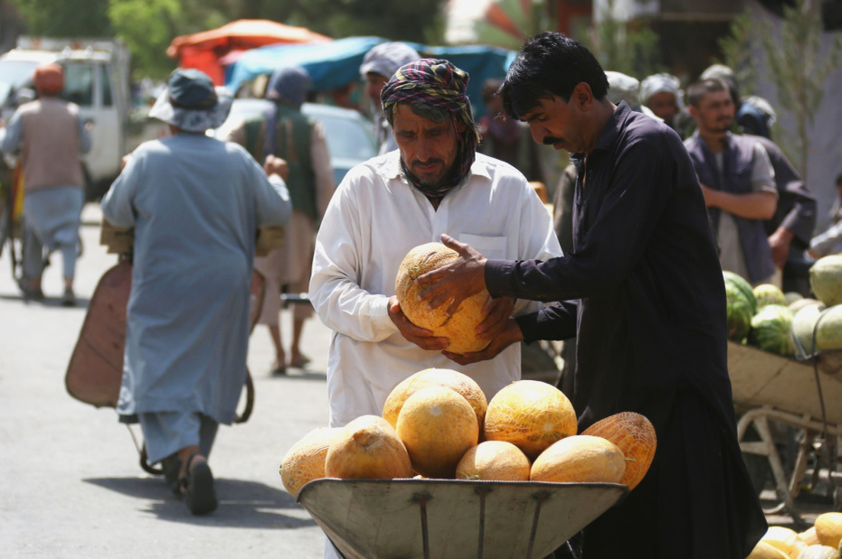    Saifurahman Safi/XinHua/Global Look Press
