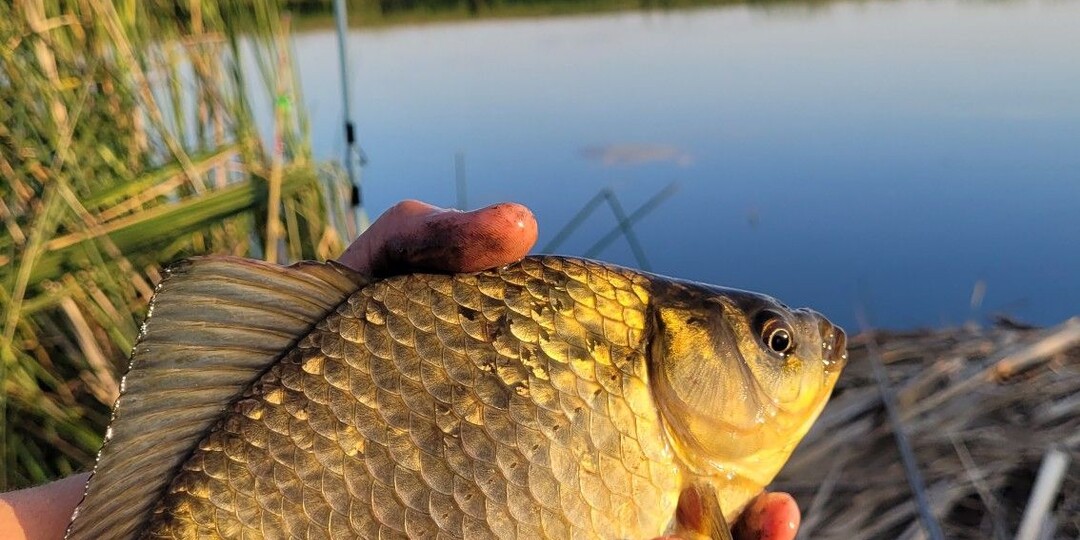 Как правильно подобрать крючок под наживку.