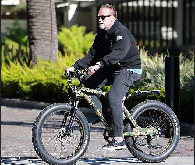 Кстати, об этом как-то писал Арнольд в своём бюллетене Arnold's Pump Club. Когда у него появились проблемы в коленях, он выбрал велосипед для поддержки сердца. Проблему с коленом он решил. Но велик после этого так и не отменил.