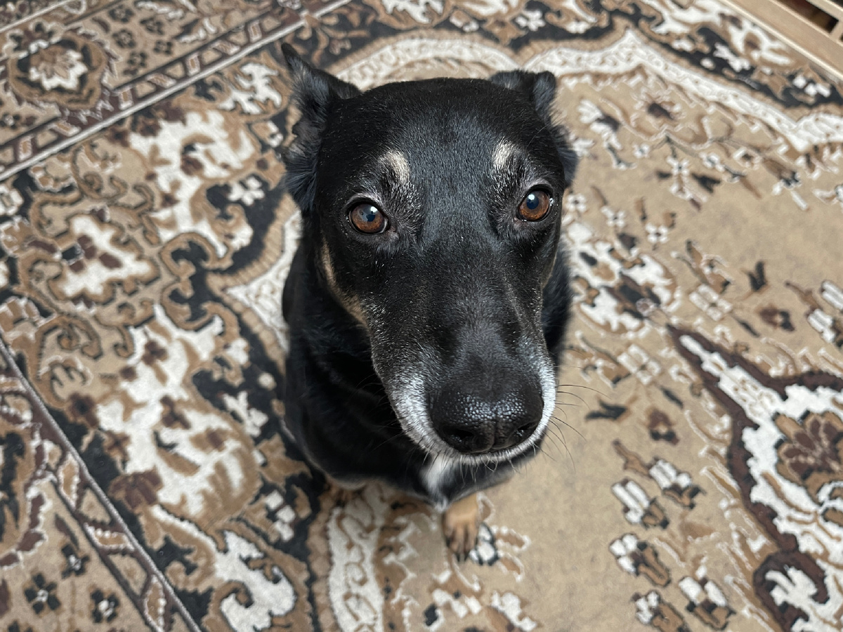 И... Мои фантазии ну прям сильно отличались от реальности 😳!