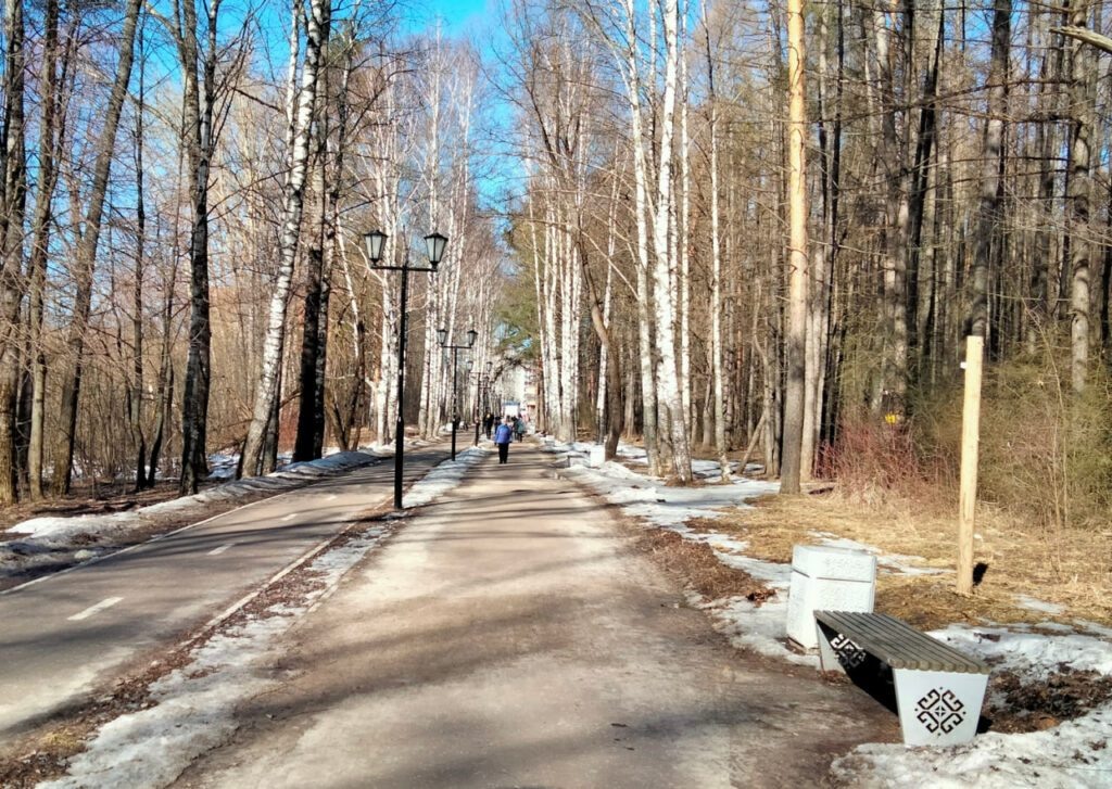    Анастасия Петрова