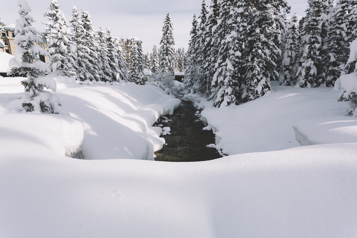    Фото: Изображение от freepik