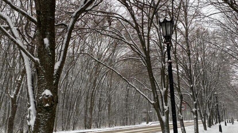    Синоптик предупредила ставропольцев о погодных переменах: потепление, а затем морозы   newstracker.ru