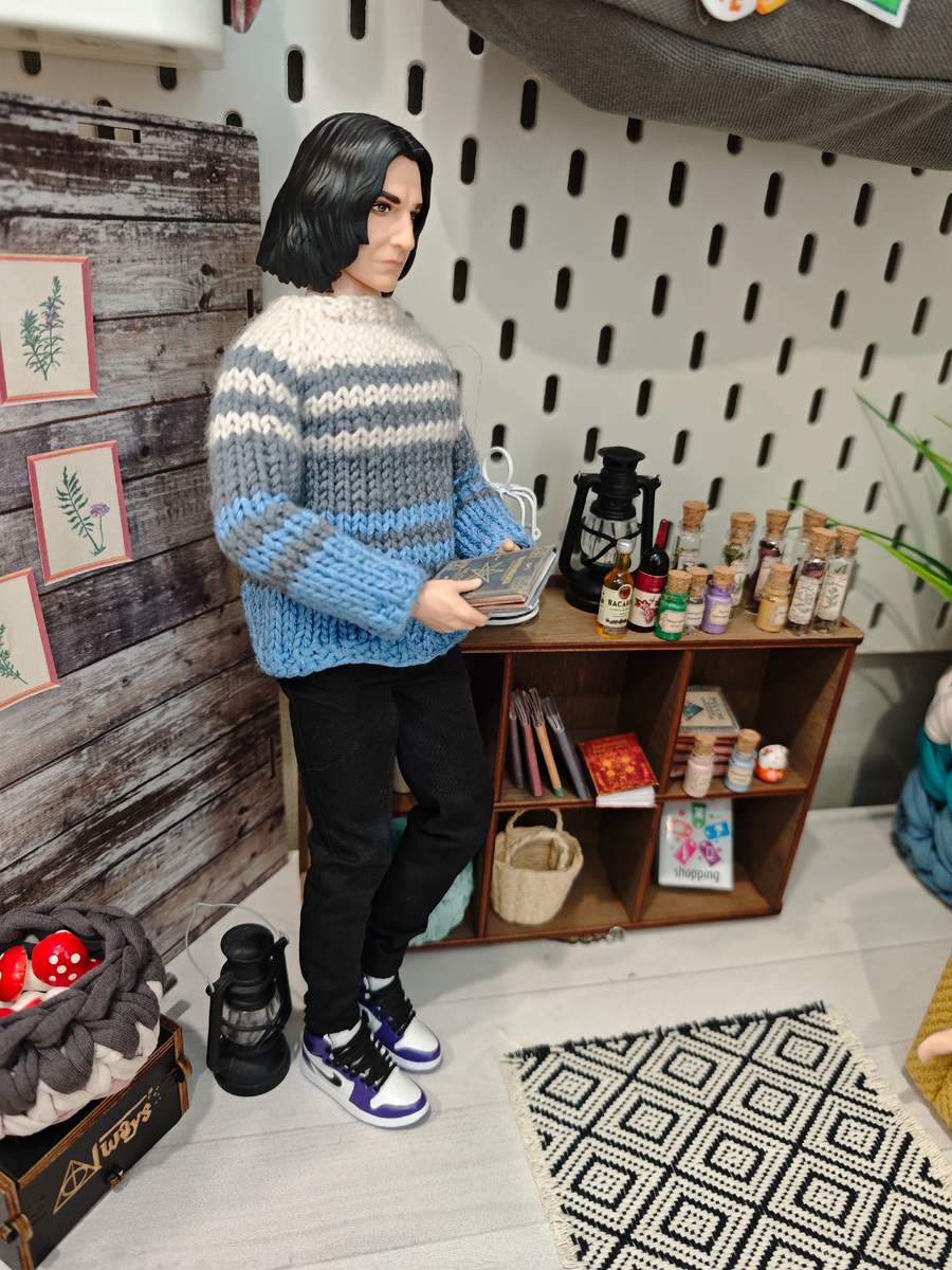 Портретный Кен Северус Снегг