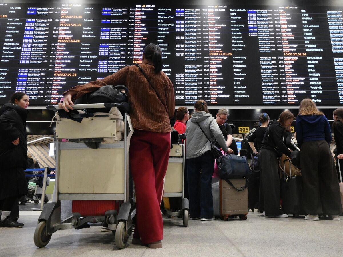    Пассажиры в аэропорту Шереметьево | © РИА Новости / Григорий Сысоев