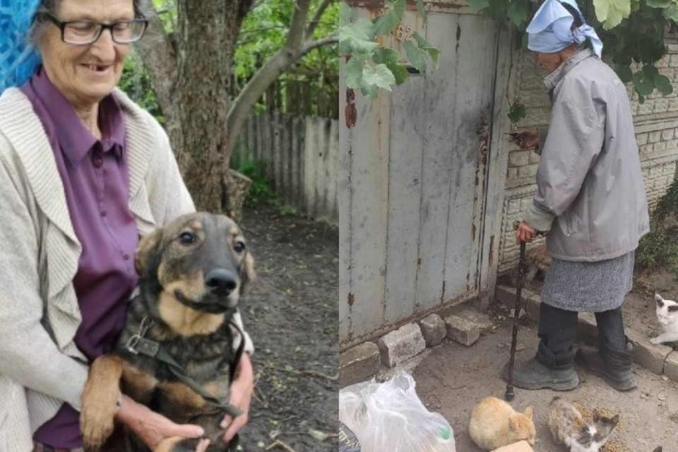    Волонтеры спешат на помощь бабушке Наде. Фото: зооцентр Дино.
