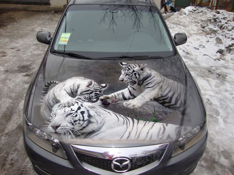 Аэрография на автомобиле.