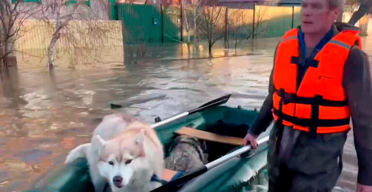    Кадр из видео: МЧС Оренбургской области Зоя Шпанько