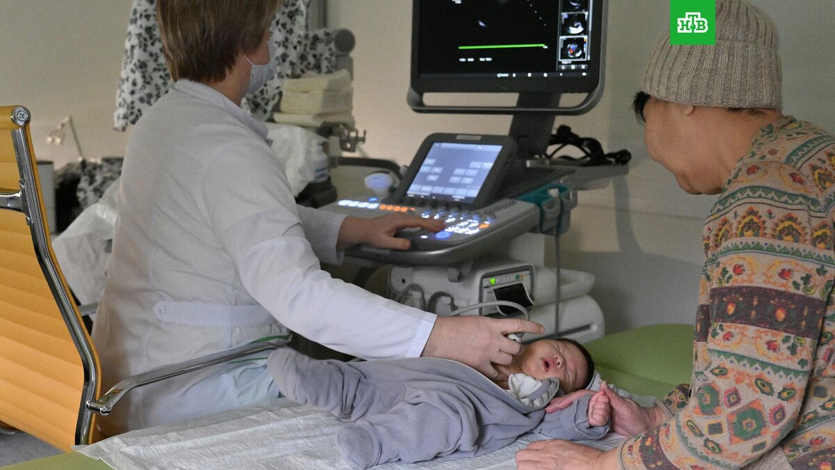    Фото: РИА Новости © 2026, Кристина Кормилицына