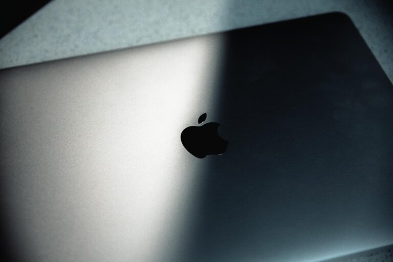    Фото: Общественная служба новостей Анастасия Аржевитина