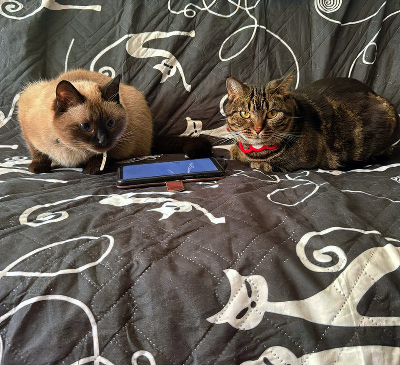 Ника и Кайса