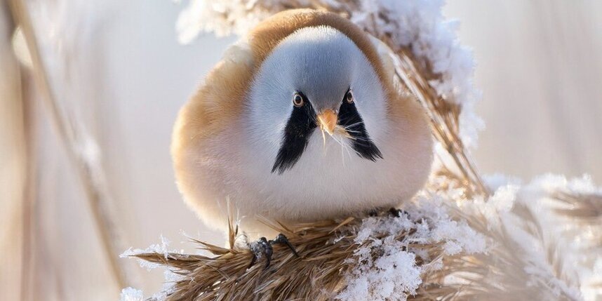    t.me/kazdoytvaripopare