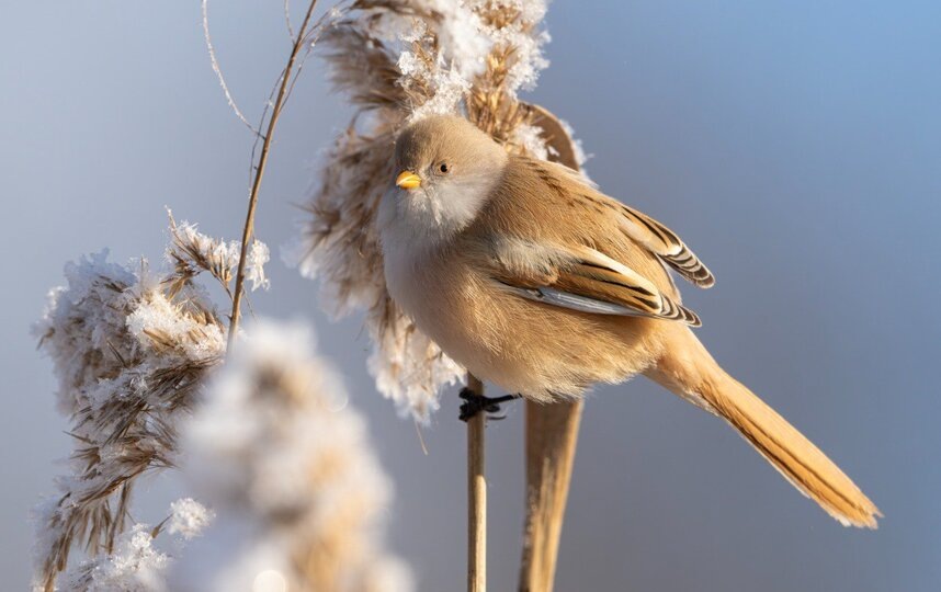    t.me/kazdoytvaripopare