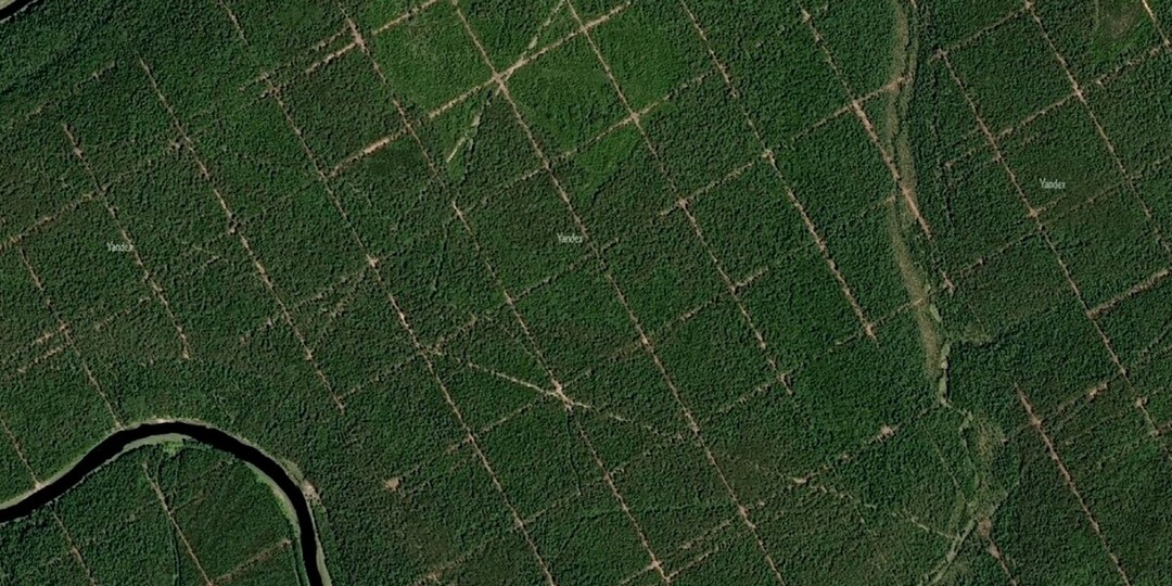 Тайна 60-й широты. Кто и зачем прорубил в тайге тысячи километров идеально прямых коридоров?