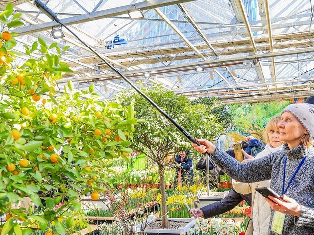    Фото: портал мэра и правительства Москвы