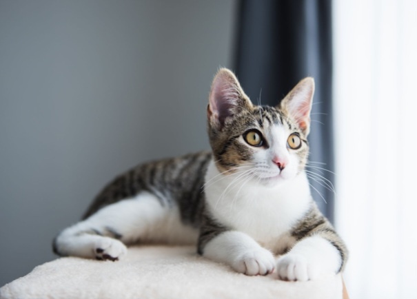 Фото из Интернета.