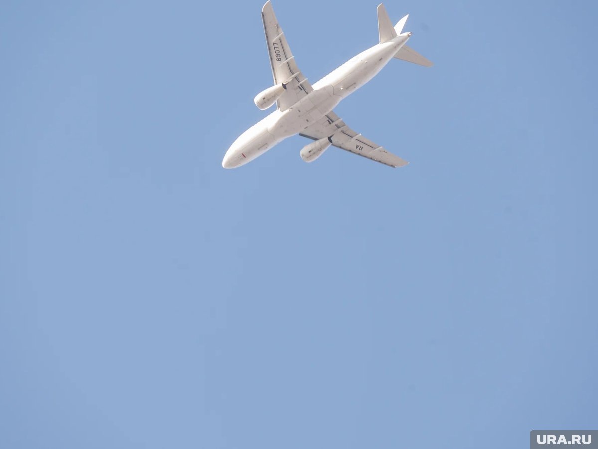     В Алматы, вслед за Сабуровым, прилетел комик Алексей Щербаков