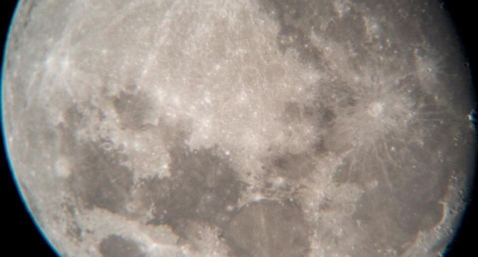    МедиаБанк Подмоковья/Мария Панина