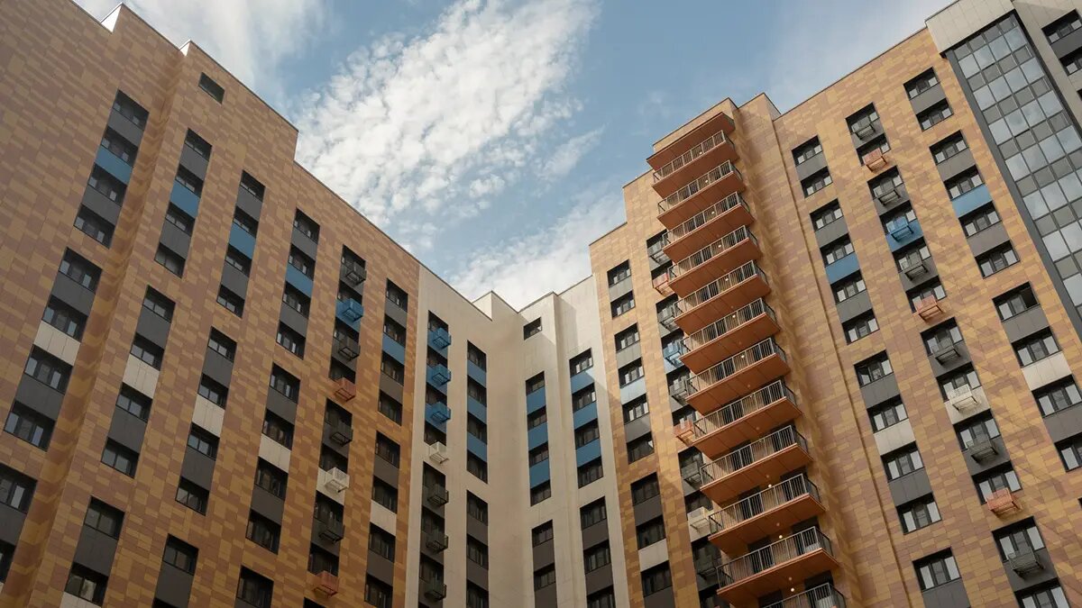    Фото: vm.ru София Васильева