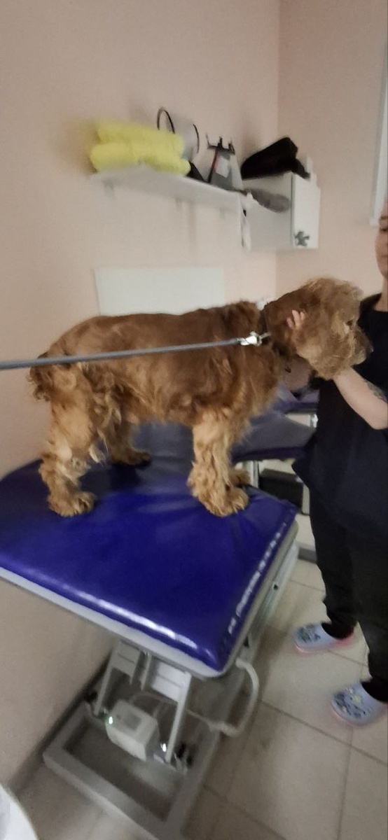 Марсель на приеме