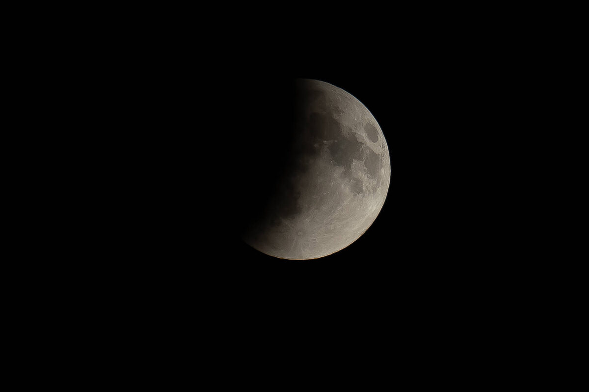 Фото: © Владимир Васильев / «Татар-информ»