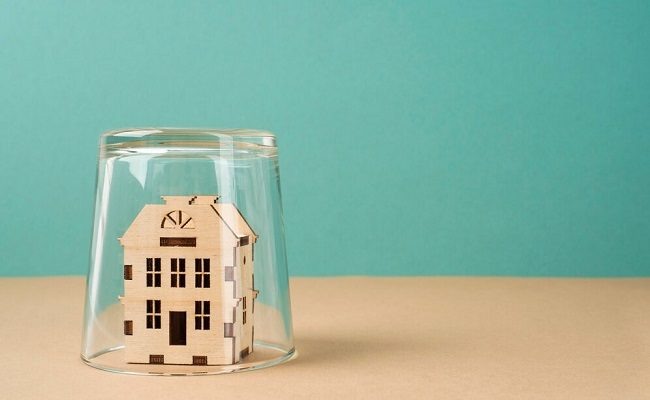    Фото: freepik.com Василий Шеин