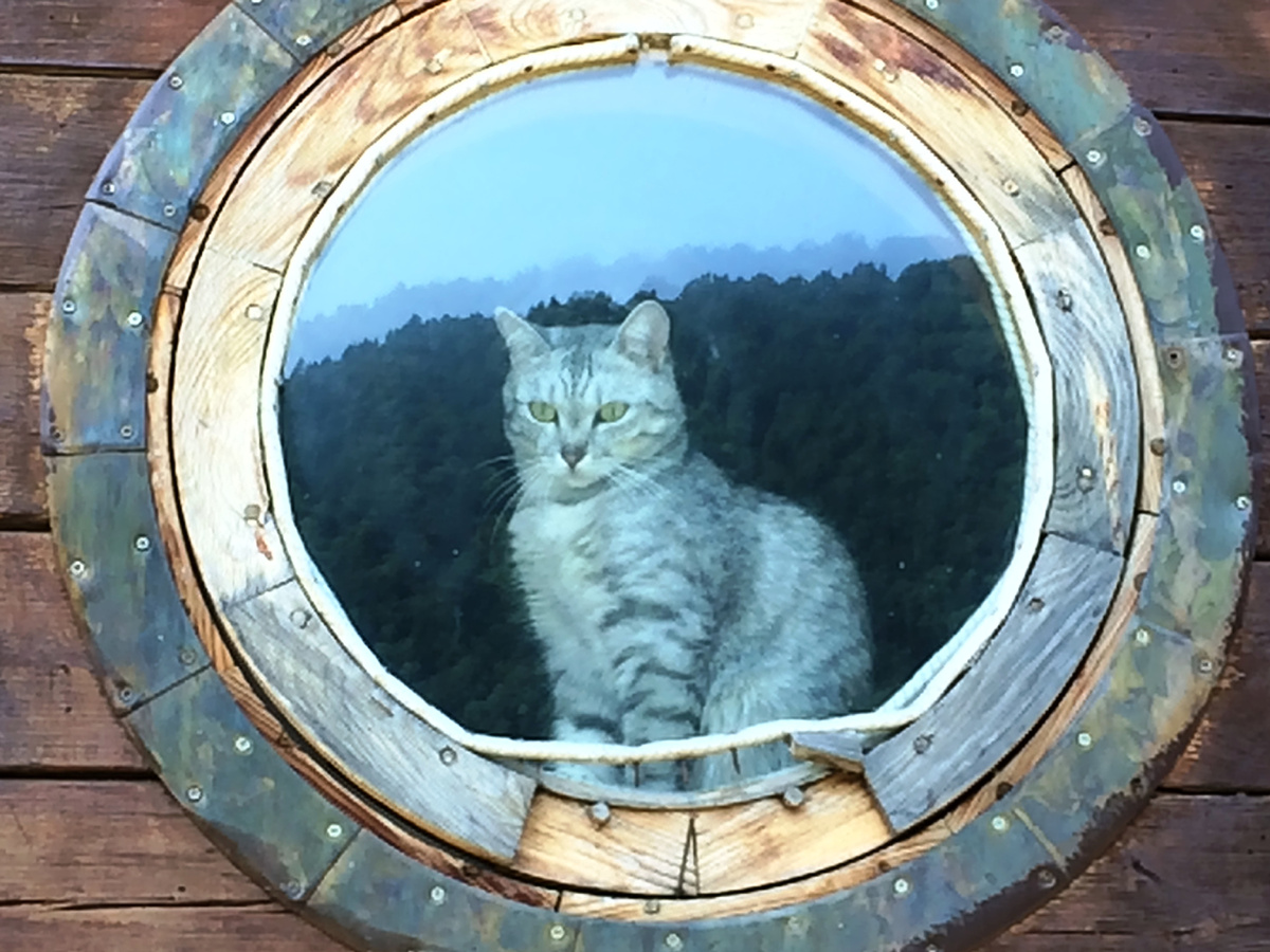 Хозяйка Бирюзовой Катуни. Автор фото: Дарья Гордеева