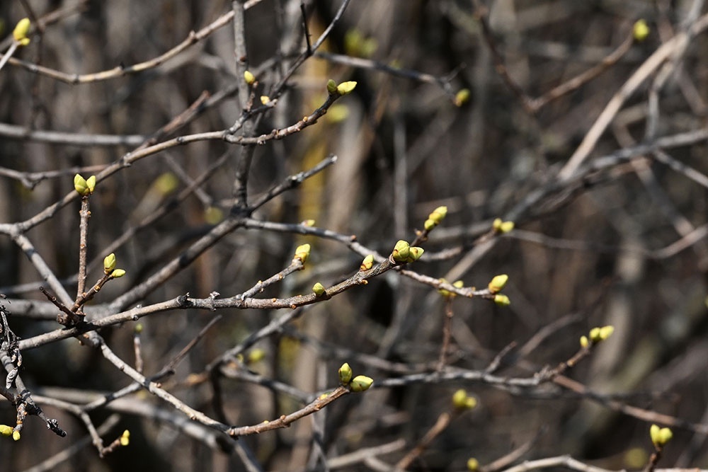    Михаил Воскресенский / РИА Новости