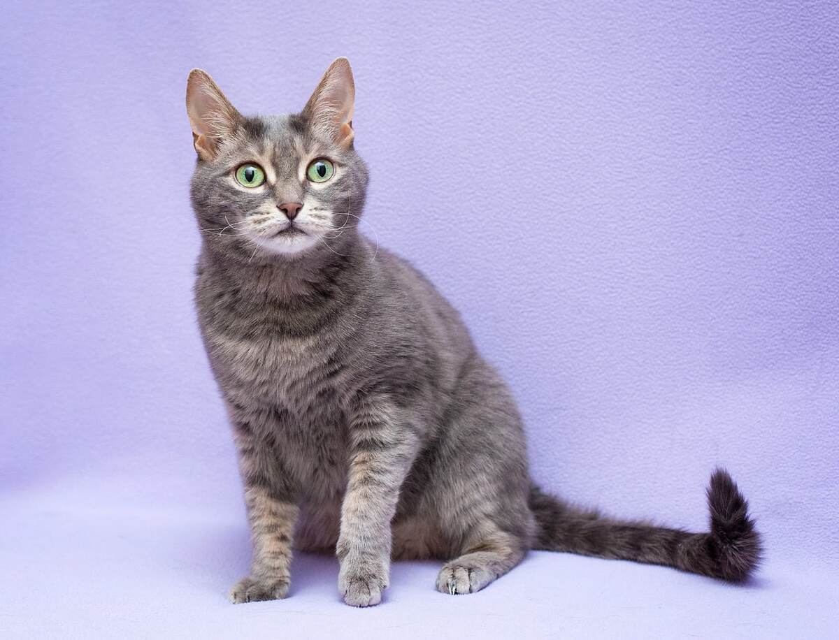 Все фотографии в статье мои