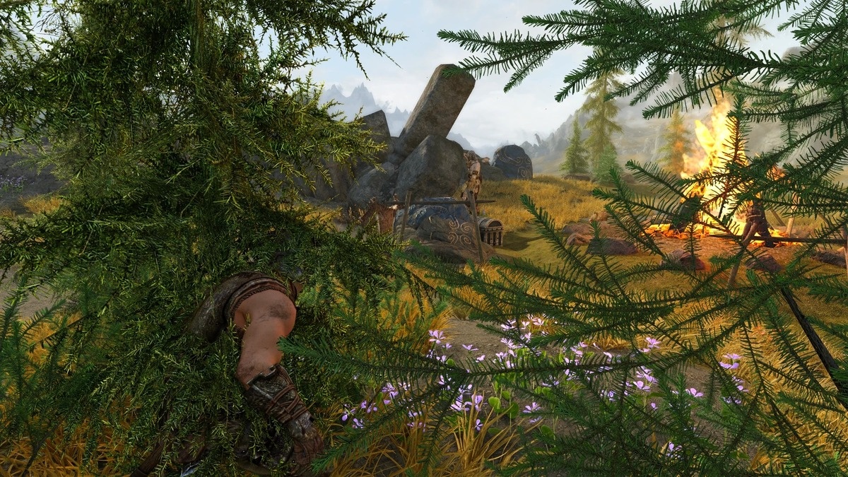 Скриншот из мода Hide in Bushes для The Elder Scrolls 5: Skyrim/Источник: Bethesda Softworks.