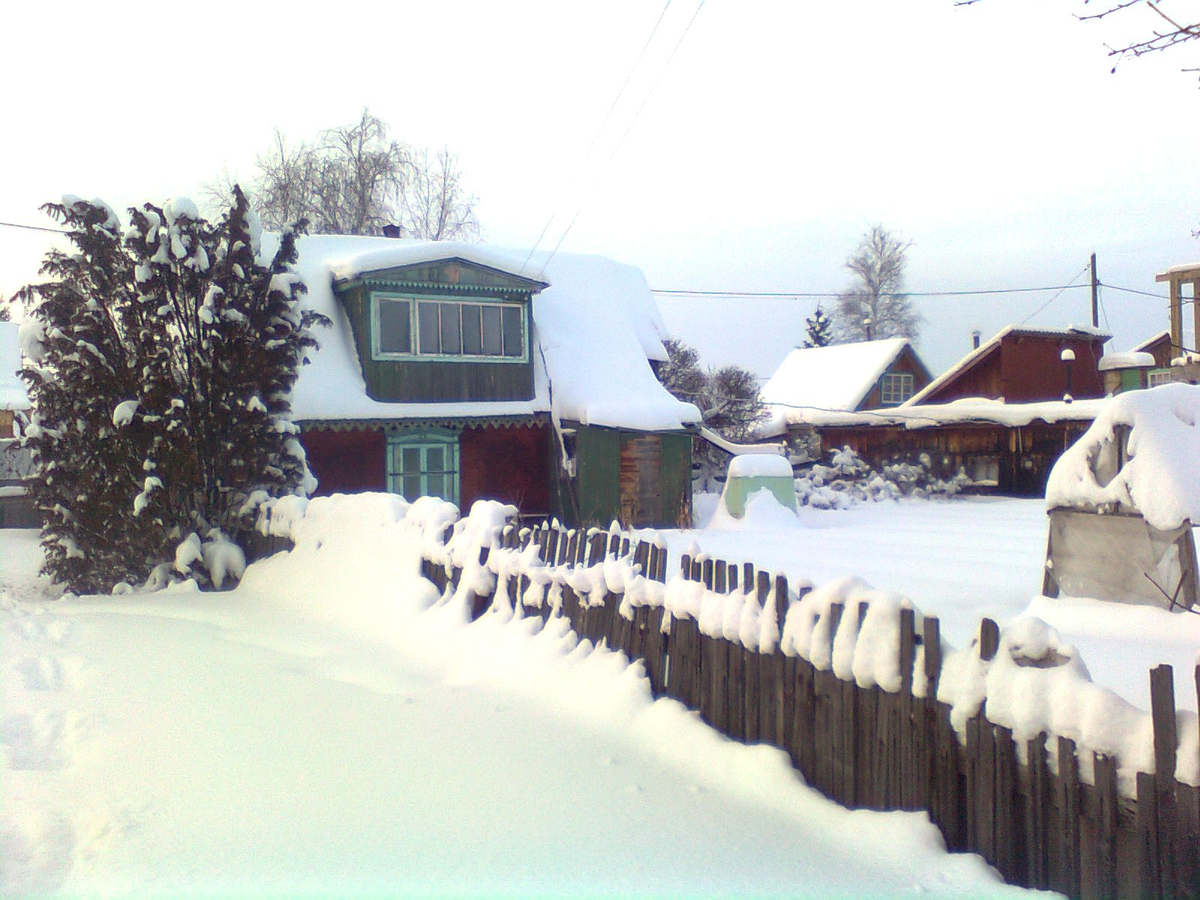 Зима 2016 года