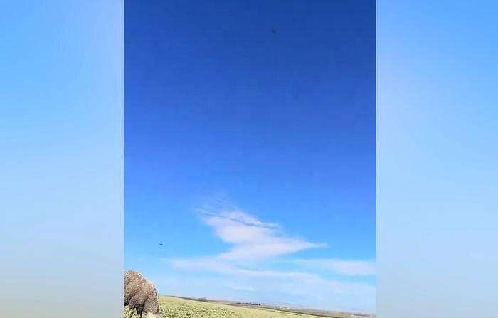 Обложка © Telegram / Fighterbomber