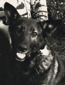 Фото 1981 или 1982 года. 