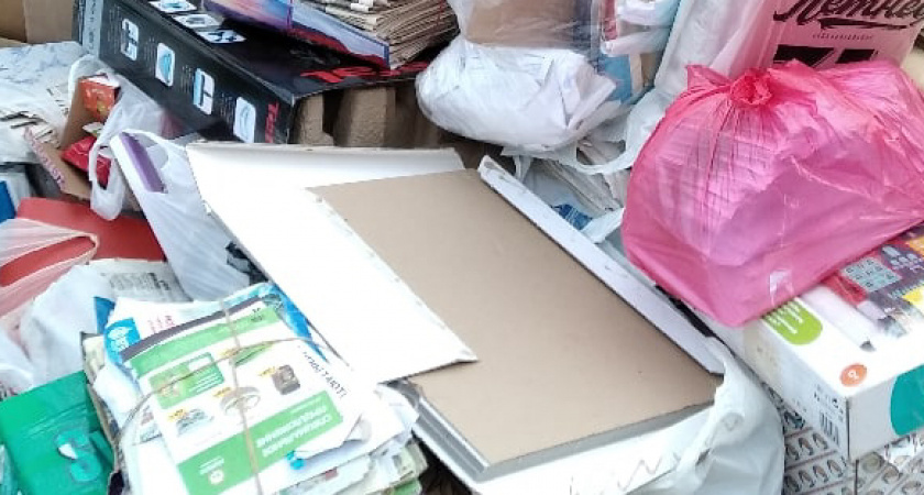    Фото prochepetsk.ru