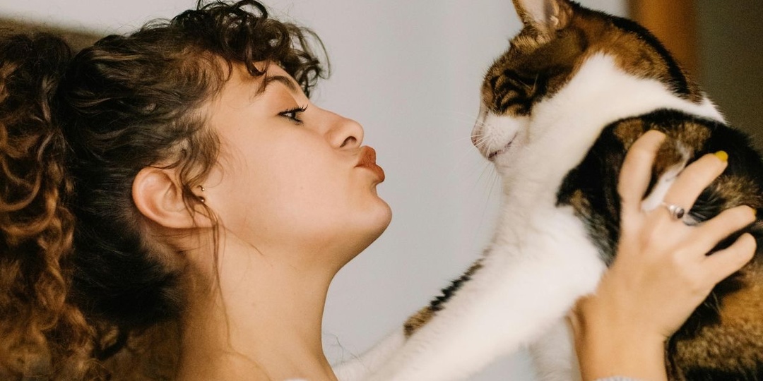 Почему владельцы кошек — особенные люди: ответ психологов