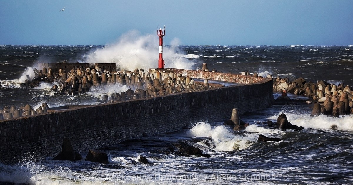 Фото из архива "Клопс"