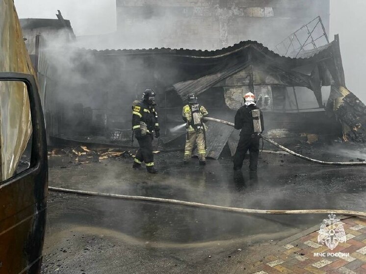     Фото: ГУ МЧС России по СК