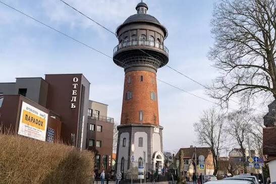 Музей кошек «Мурариум»