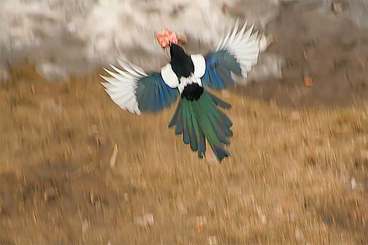    Фото Андрея Заржецкого