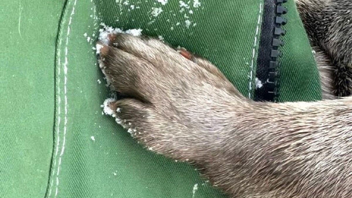   Лензоопарк